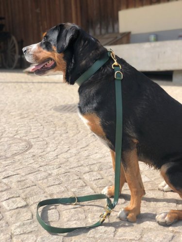 Dvouvrstvý kožený obojek - Šířka obojku a přezka: 2,5 cm - obyčejná přezka