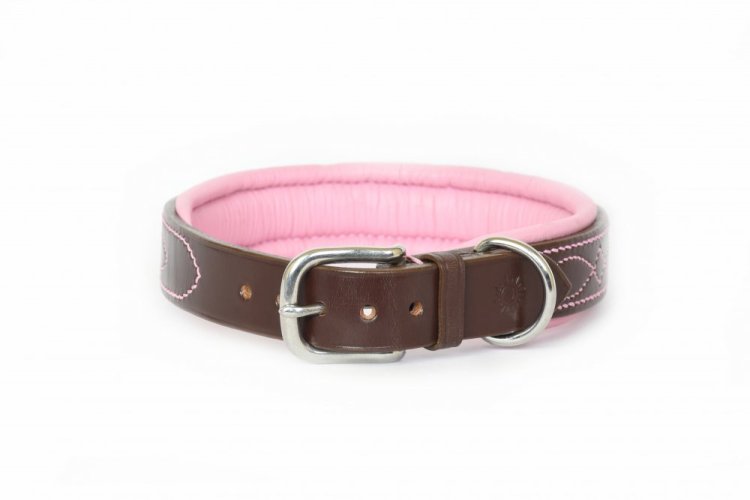 Kožený obojek s ozdobným prošitím a měkkým polstrováním - Šířka obojku a přezka: 1,9 cm - přezka s rolnou