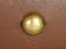 cvoček kulatý zlatá barva 10 mm (pouze pro obojky 19 mm a širší)