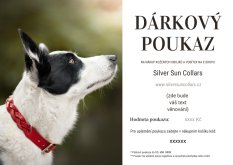 Dárkový poukaz